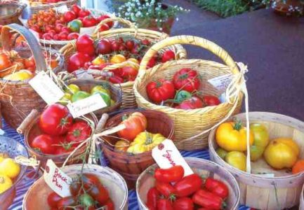 Plant Heirloom Tomato Plants in Your Vegetable Garden Image